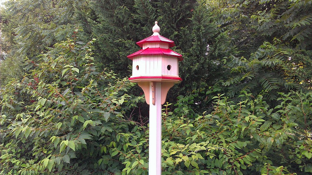 Cedar bird house