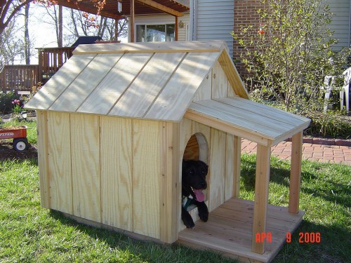 The Sparky 1 dog house