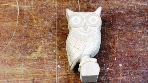 Front of owl with feather detail