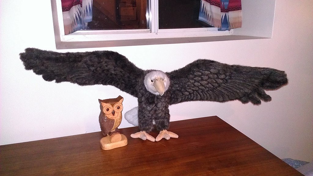 My carved owl with a bald eagle friend