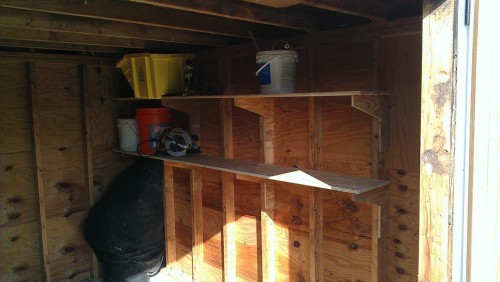 Shed shelves made from left-over T1-11 panels used for doors