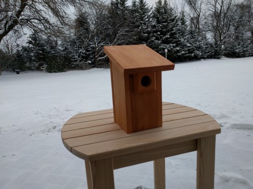 Bluebird house with 1-1/2" diameter double thickness hole