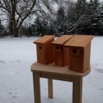 Trio of bluebird houses made from left-over cedar and cypress