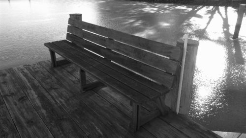 Original redwood bench slowly succumbing to the elements