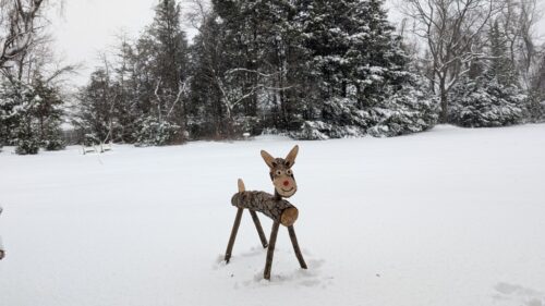 One of the more unique reindeer had an arched back