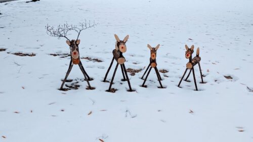 The reindeer herd hanging out in the front yard to greet visitors