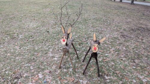 The happy reindeer couple greeting visitors by my driveway